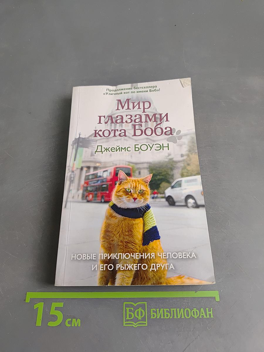 Мир глазами кота Боба. Новые приключения человека и его рыжего друга
