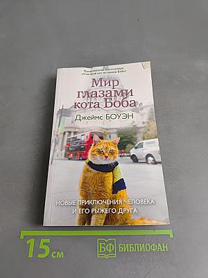 Мир глазами кота Боба. Новые приключения человека и его рыжего друга