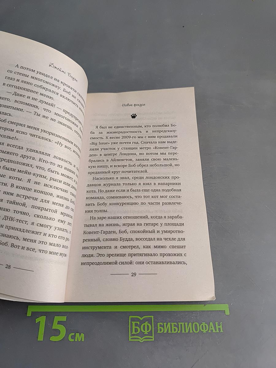 Мир глазами кота Боба. Новые приключения человека и его рыжего друга