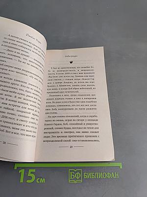 Мир глазами кота Боба. Новые приключения человека и его рыжего друга