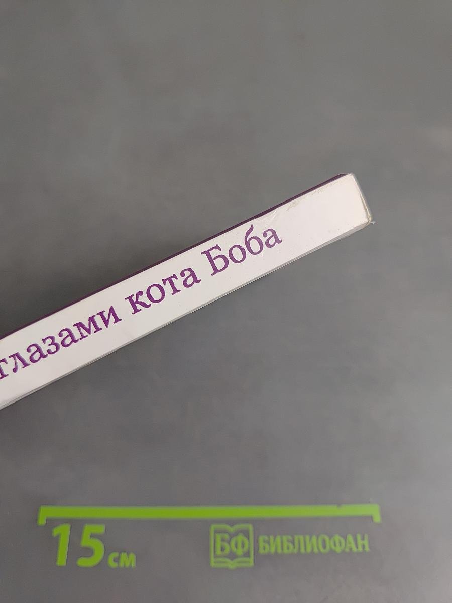Мир глазами кота Боба. Новые приключения человека и его рыжего друга