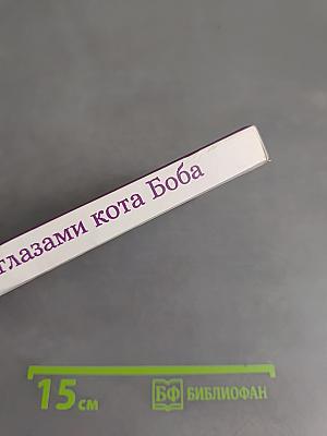 Мир глазами кота Боба. Новые приключения человека и его рыжего друга