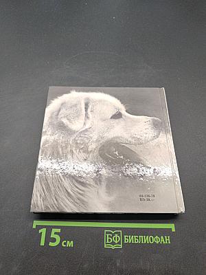 Niečo o psoch...