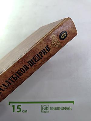Собрание сочинений в десяти томах. Том шестой
