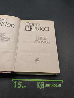 Гнев ангелов