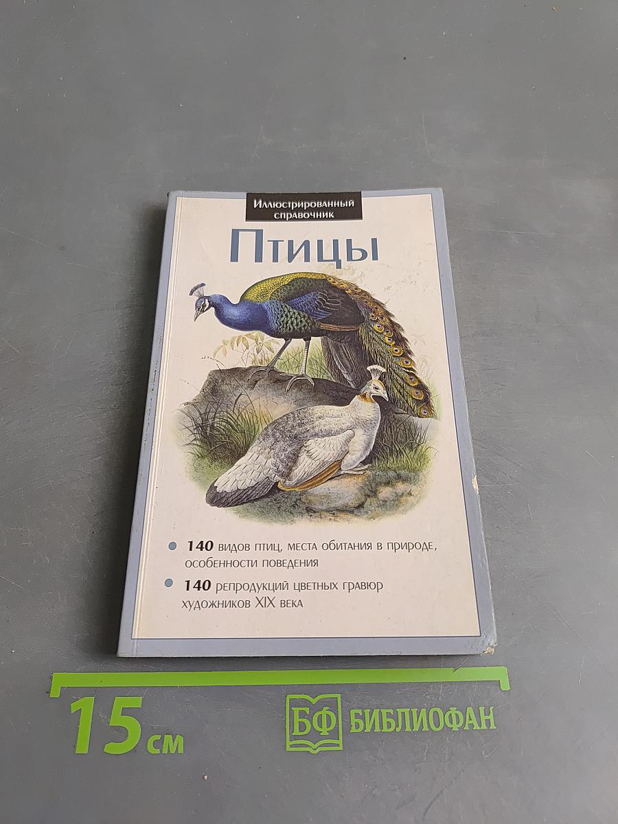 Птицы