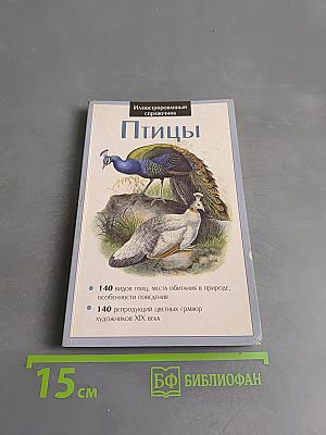 Птицы