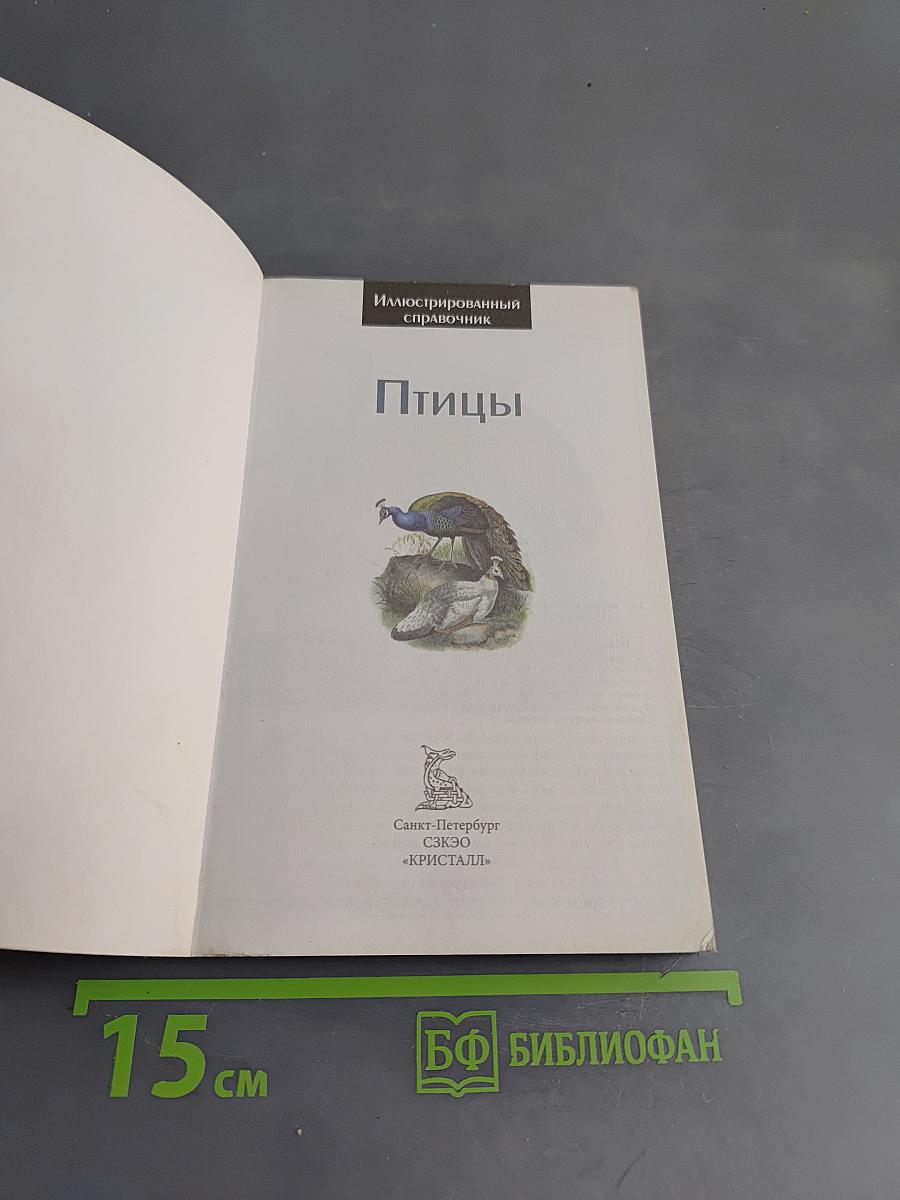 Птицы