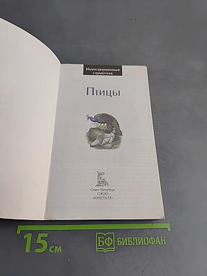 Птицы