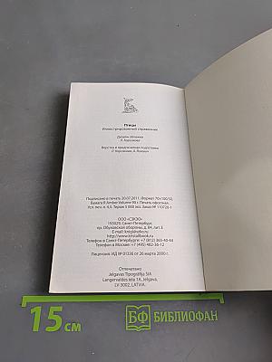 Птицы