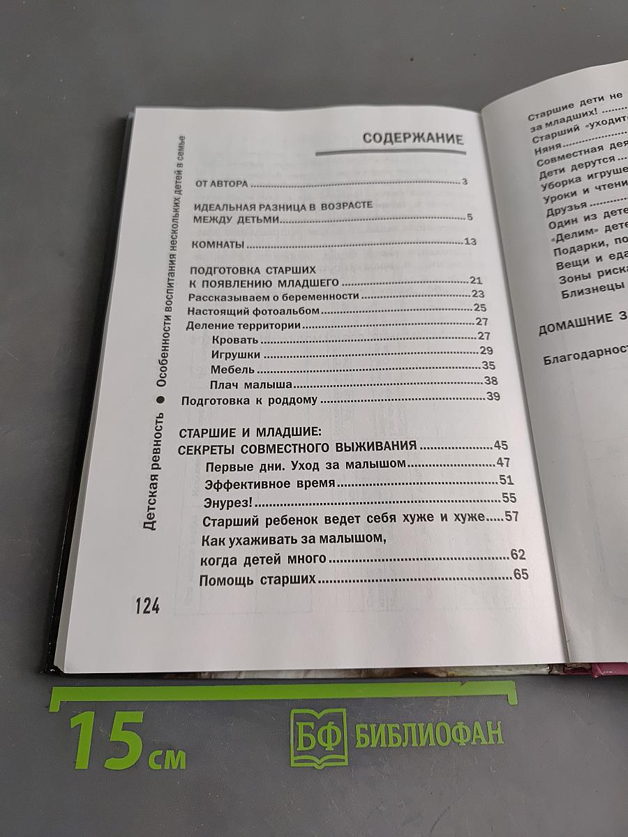 Детская ревность. Особенности воспитания нескольких детей в семье