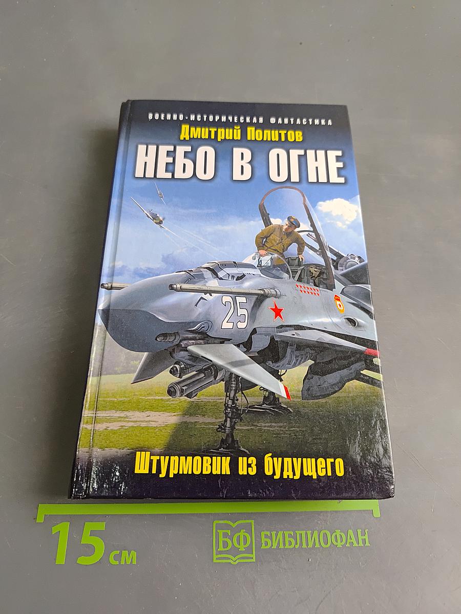 Небо в огне. Штурмовик из будущего