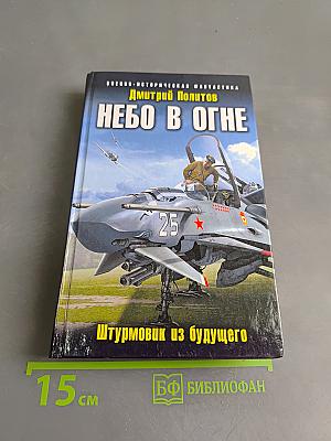 Небо в огне. Штурмовик из будущего