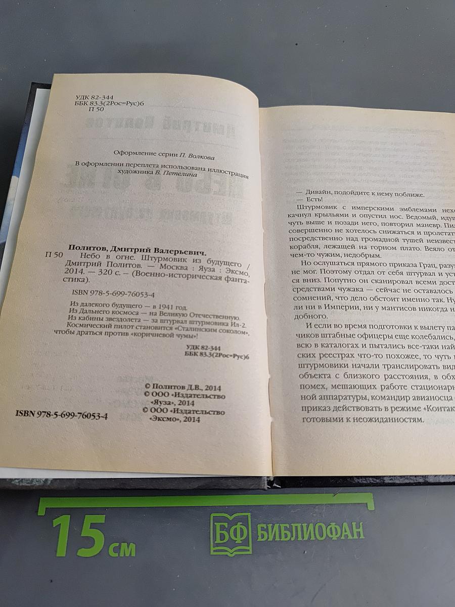 Небо в огне. Штурмовик из будущего