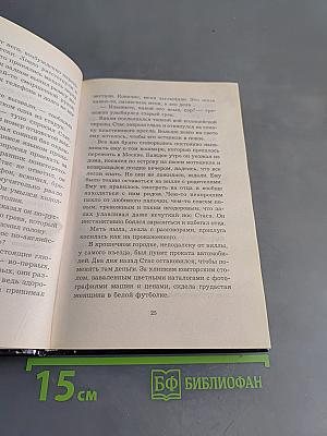 Херувим. Книга 2