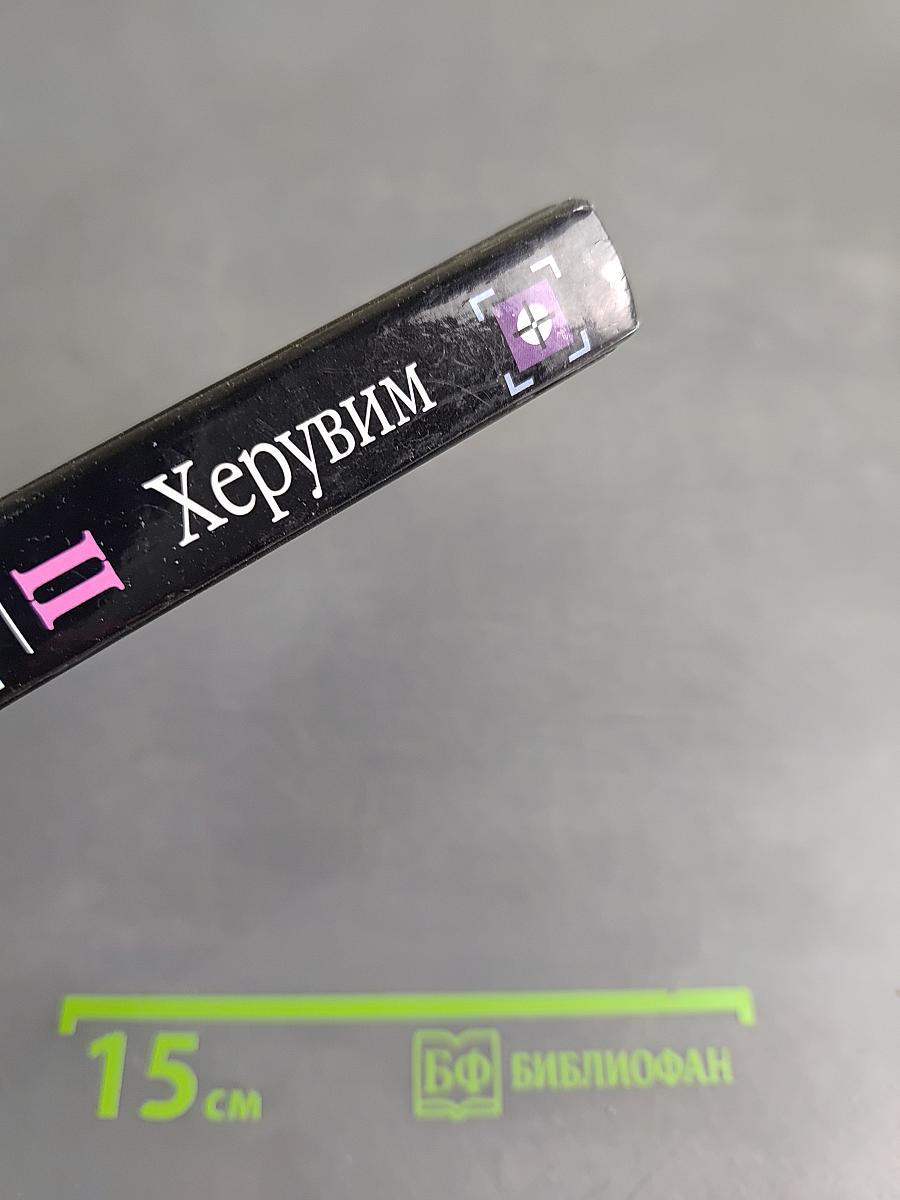 Херувим. Книга 2