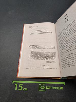 Наследница Тумана. Академия магии при Храме всех богов