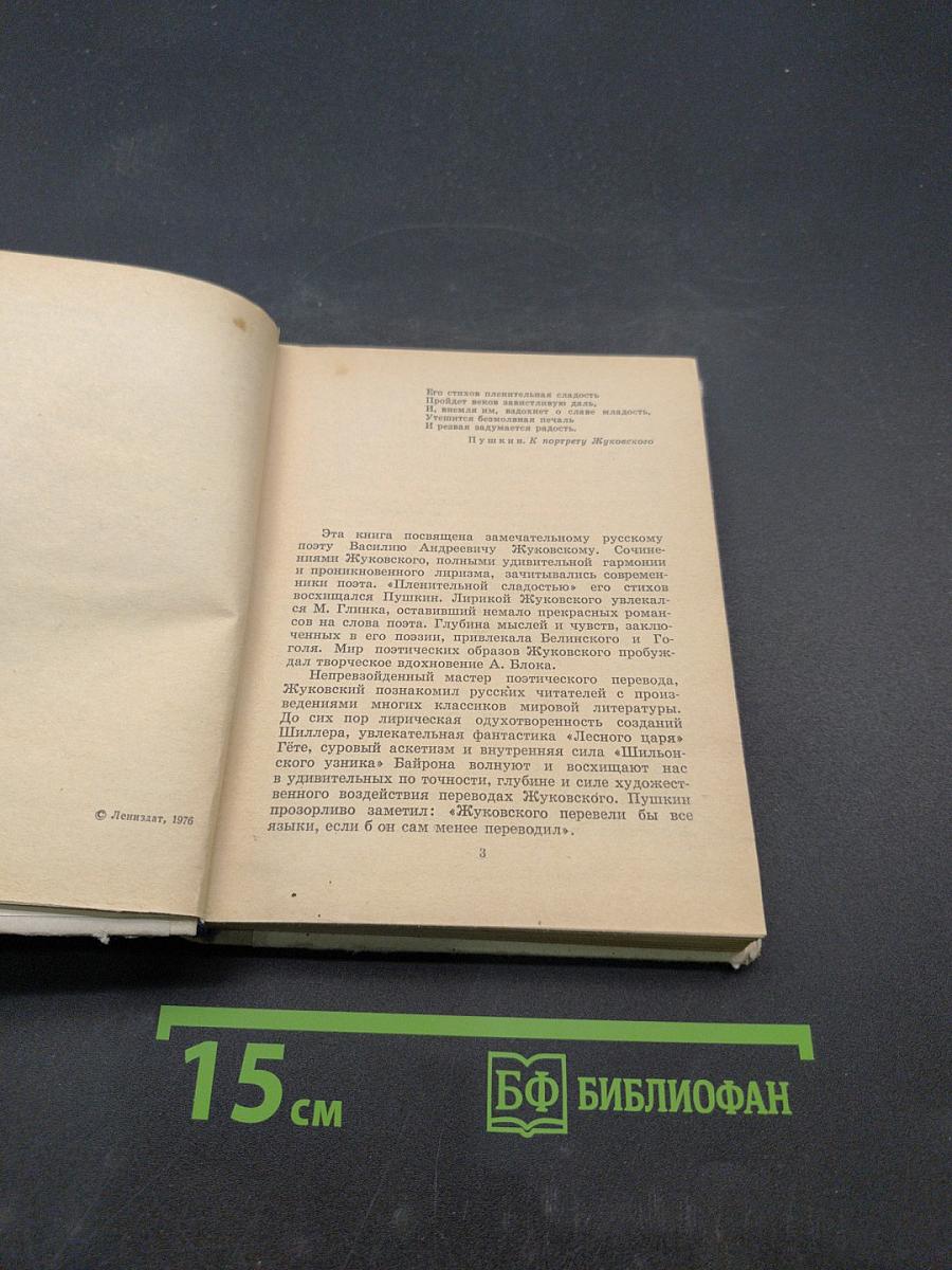 Жуковский в Петербурге