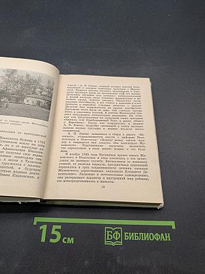 Жуковский в Петербурге