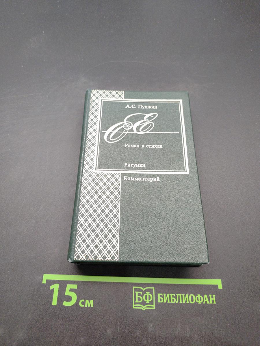Евгений Онегин. Роман в стихах. Рисунки. Комментарий