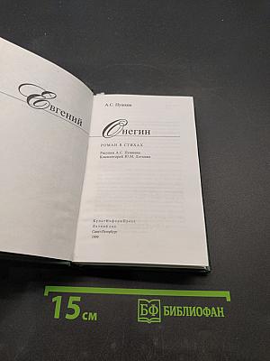 Евгений Онегин. Роман в стихах. Рисунки. Комментарий