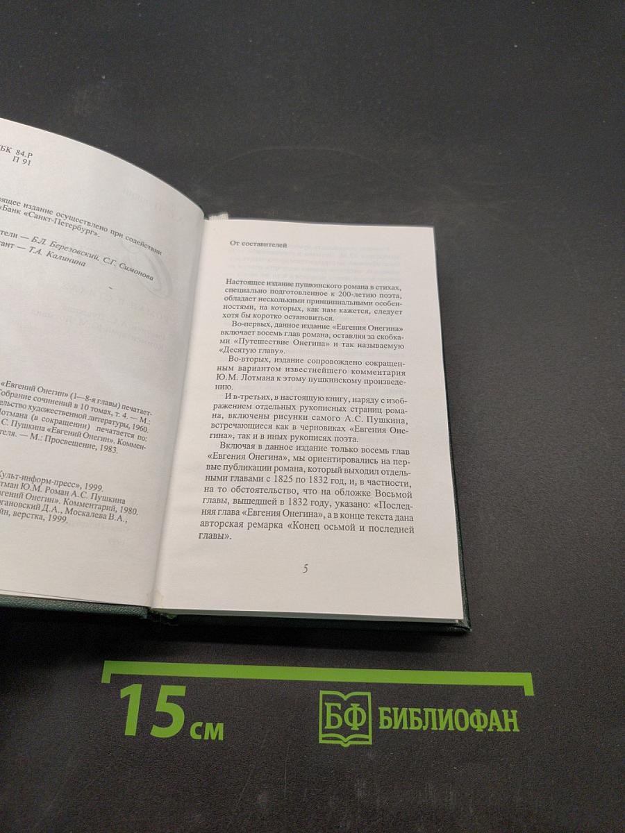 Евгений Онегин. Роман в стихах. Рисунки. Комментарий