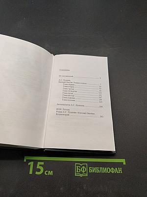 Евгений Онегин. Роман в стихах. Рисунки. Комментарий