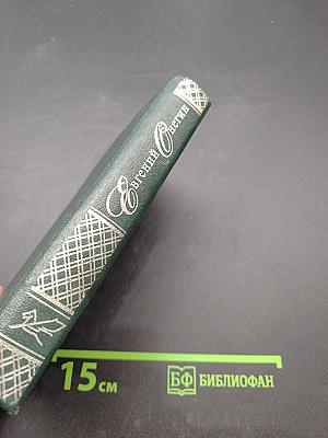 Евгений Онегин. Роман в стихах. Рисунки. Комментарий