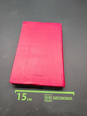 Всадник на белом коне