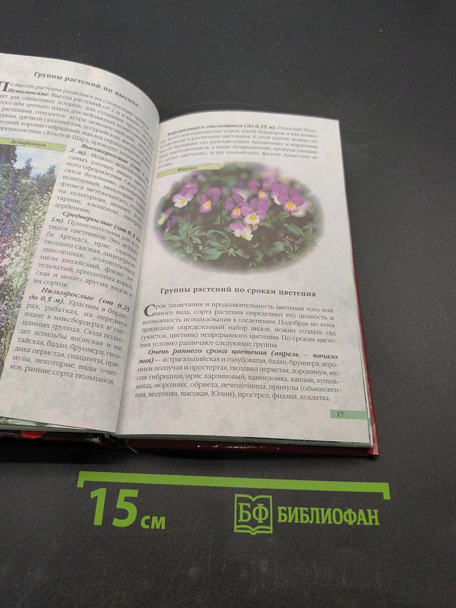 Многолетние цветы в саду