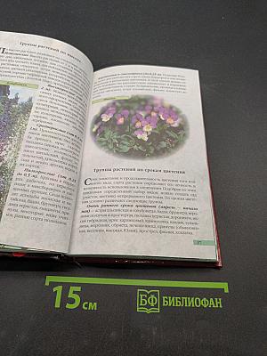 Многолетние цветы в саду