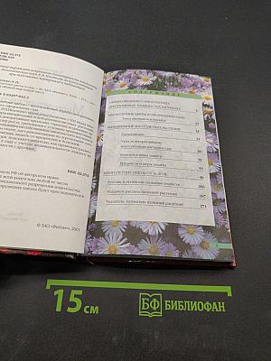 Многолетние цветы в саду