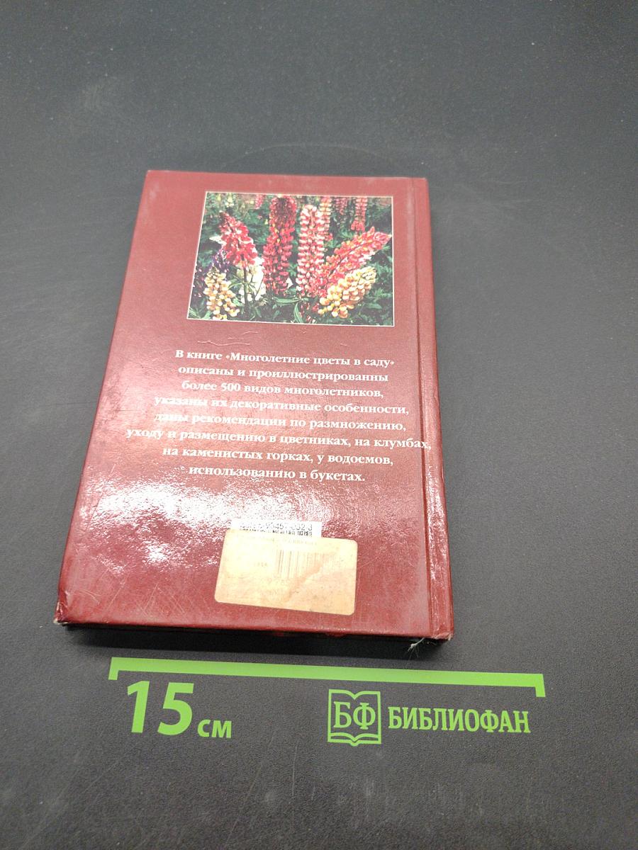 Многолетние цветы в саду