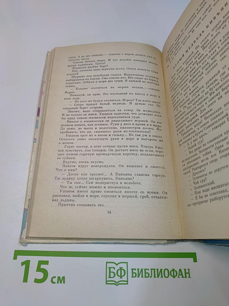 Начальник острова Врангеля
