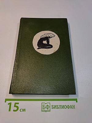 Кунарду, или Колодец в тени