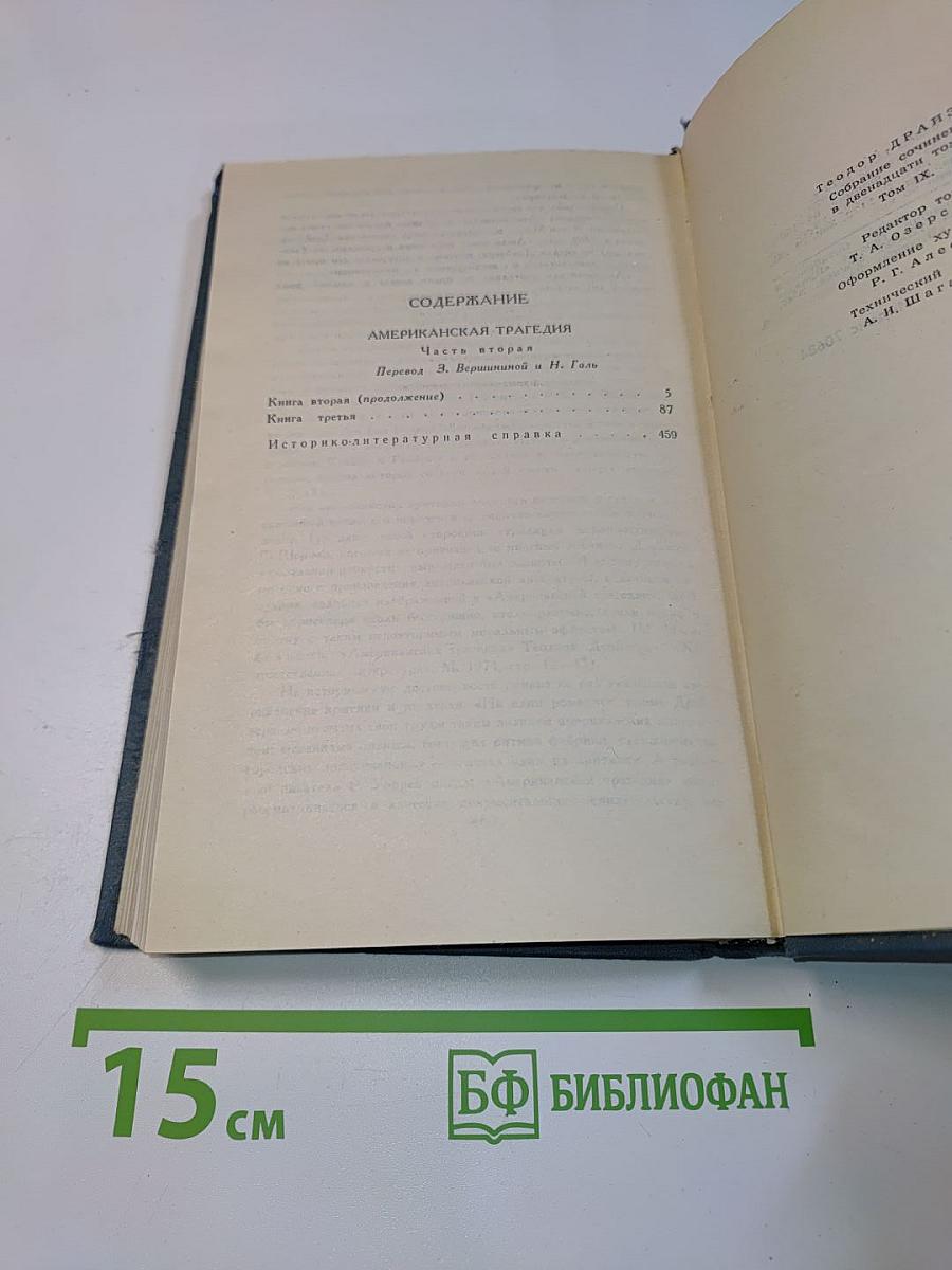 Американская трагедия. Том 9