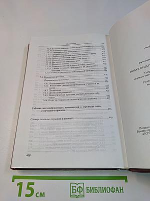 Новая педагогика массовой школы