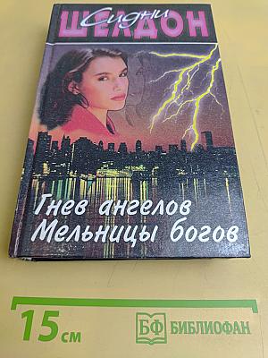 Гнев ангелов. Мельницы богов