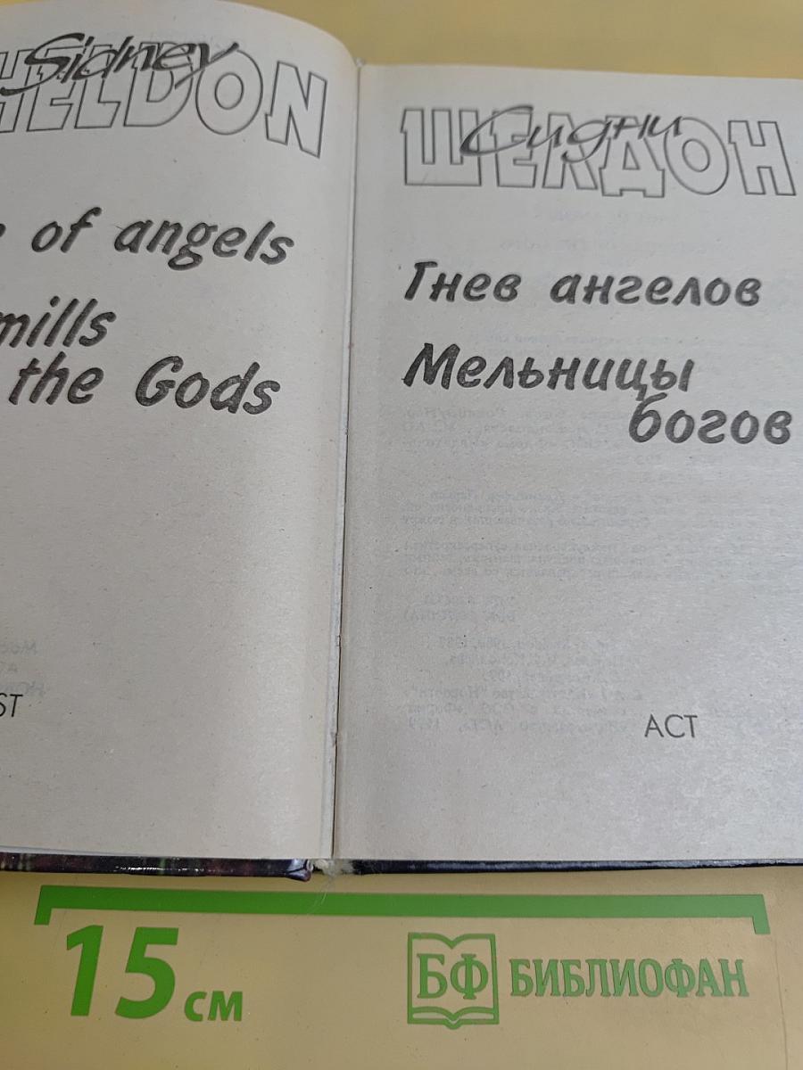 Гнев ангелов. Мельницы богов