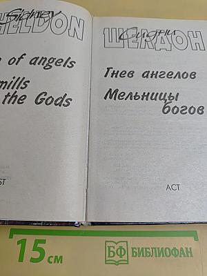 Гнев ангелов. Мельницы богов