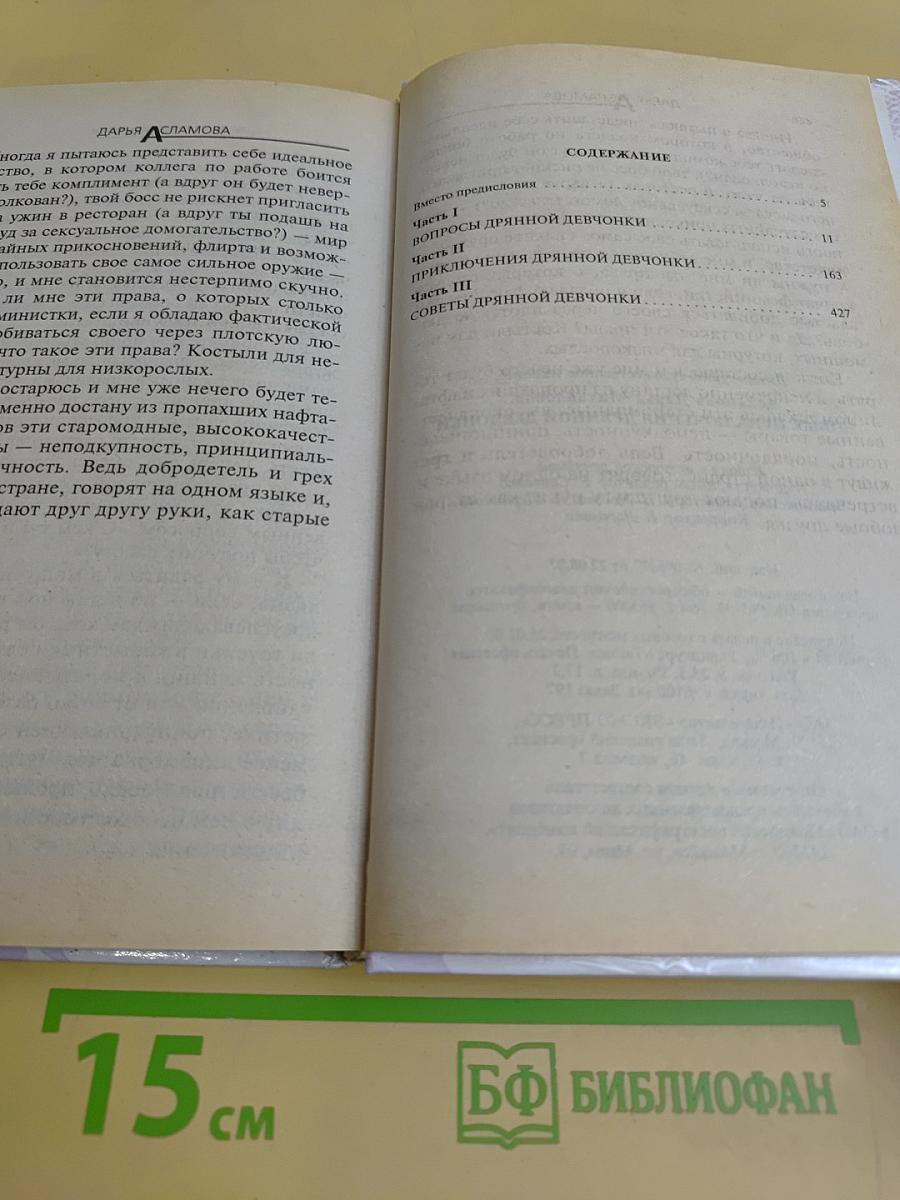 Новые приключения дрянной девчонки