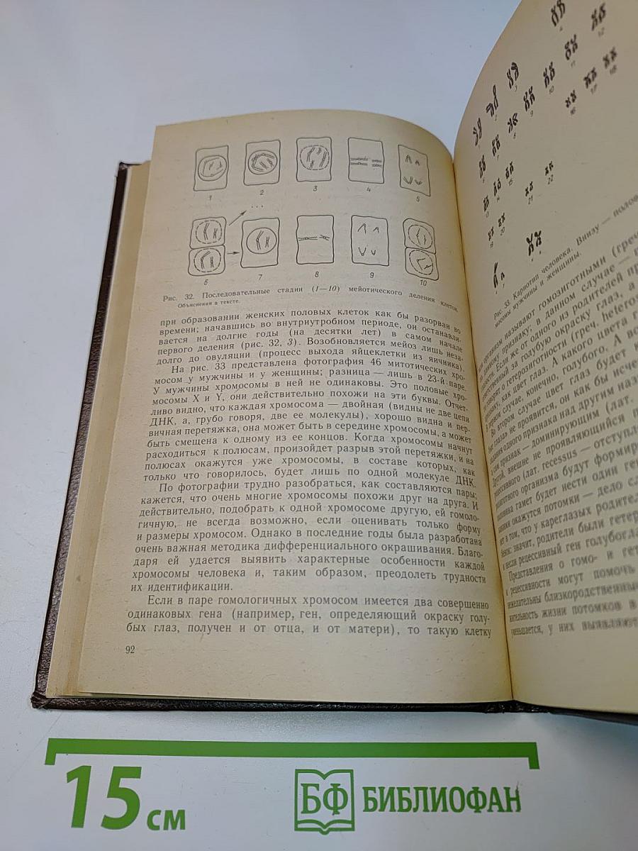 Ошибки развития