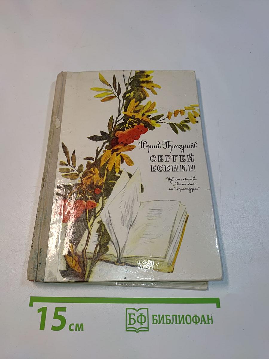 Сергей Есенин. Очерк жизни и творчества