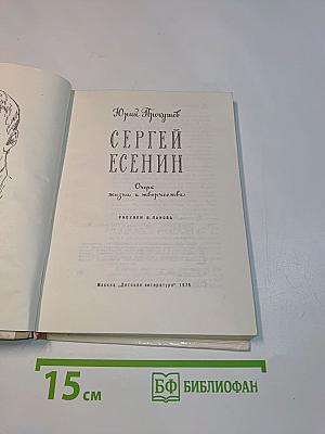 Сергей Есенин. Очерк жизни и творчества