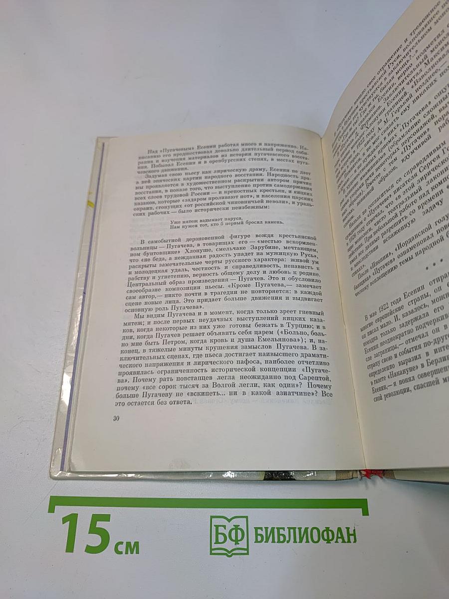 Сергей Есенин. Очерк жизни и творчества