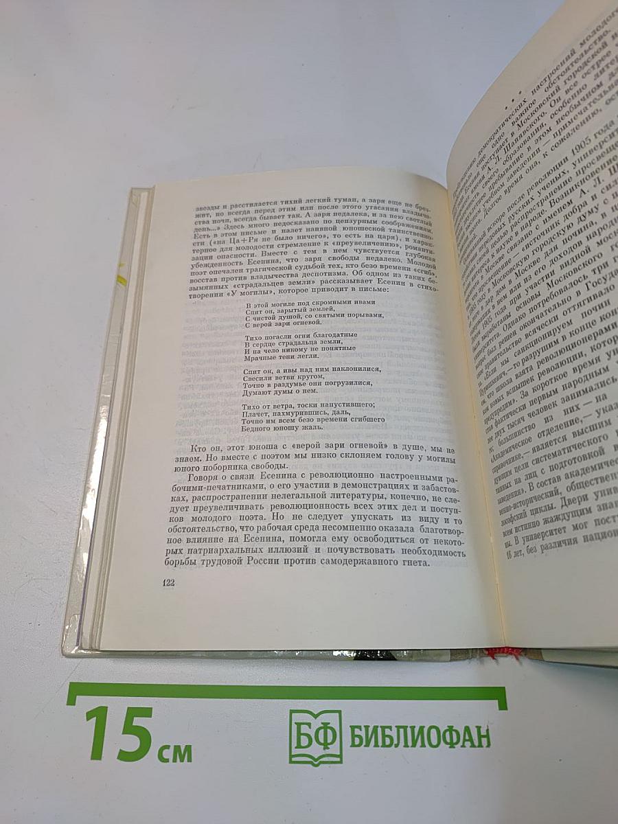 Сергей Есенин. Очерк жизни и творчества