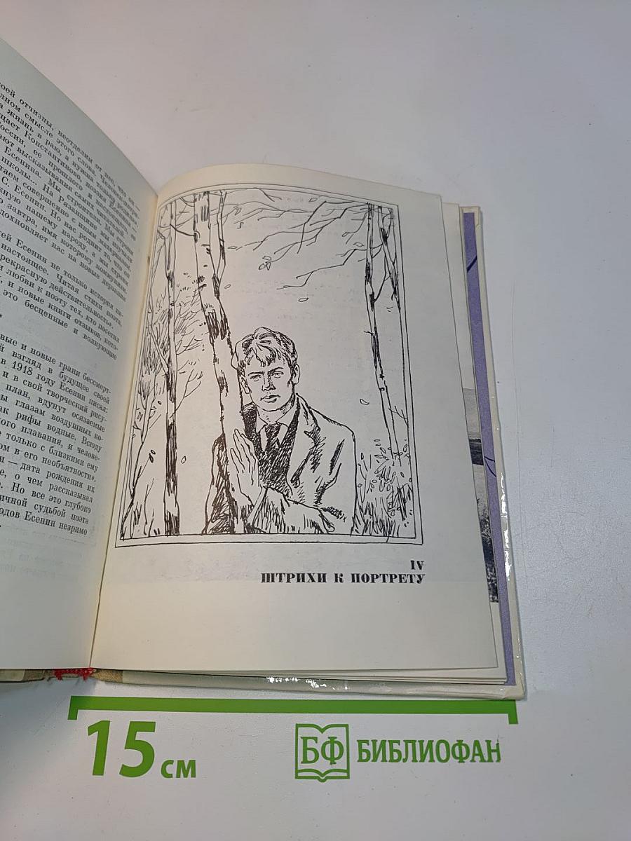 Сергей Есенин. Очерк жизни и творчества