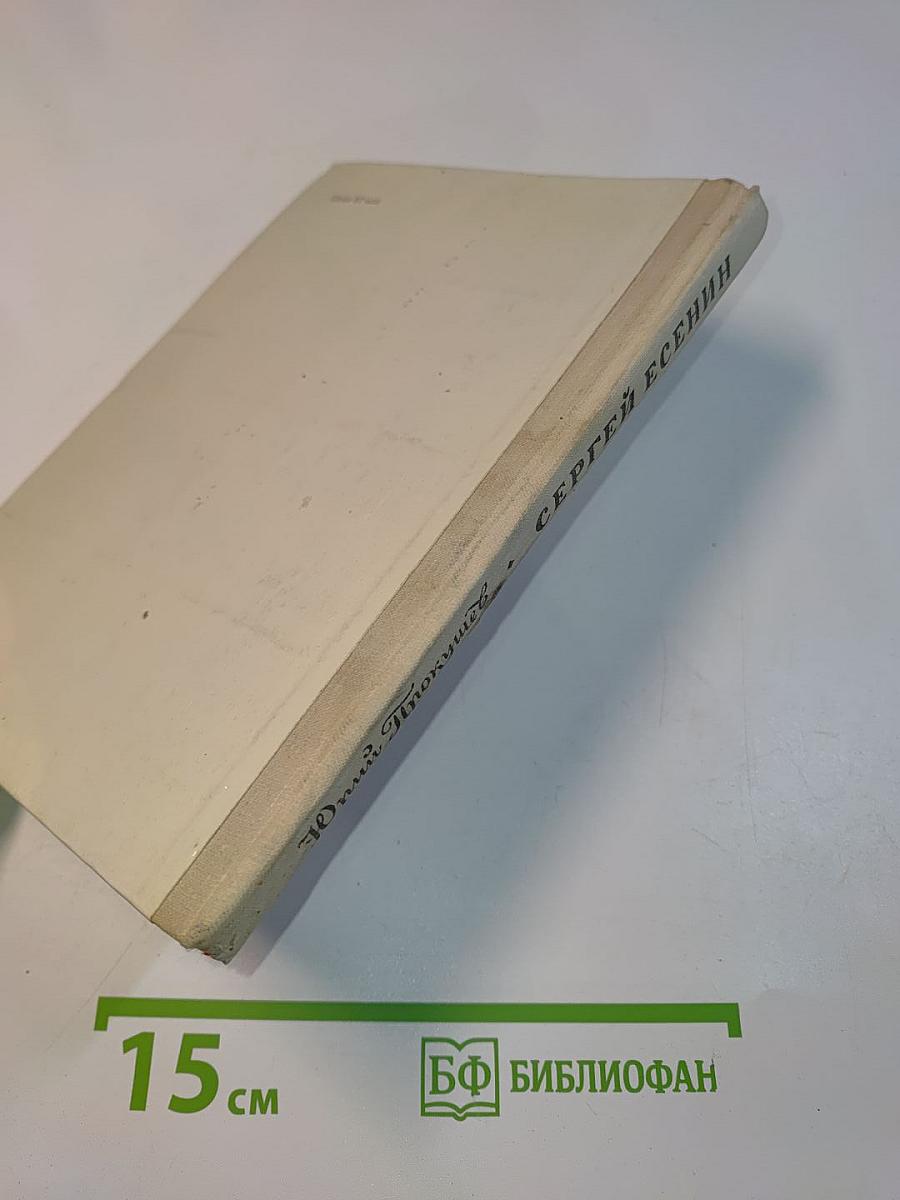 Сергей Есенин. Очерк жизни и творчества