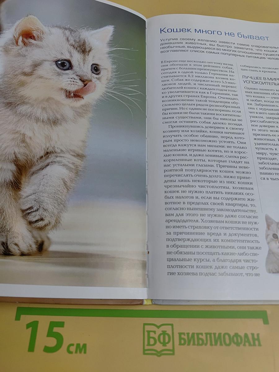 Кошка. Книга идеального хозяина