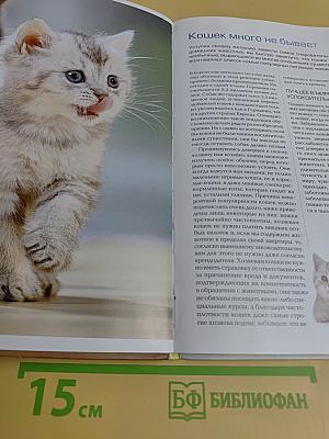 Кошка. Книга идеального хозяина